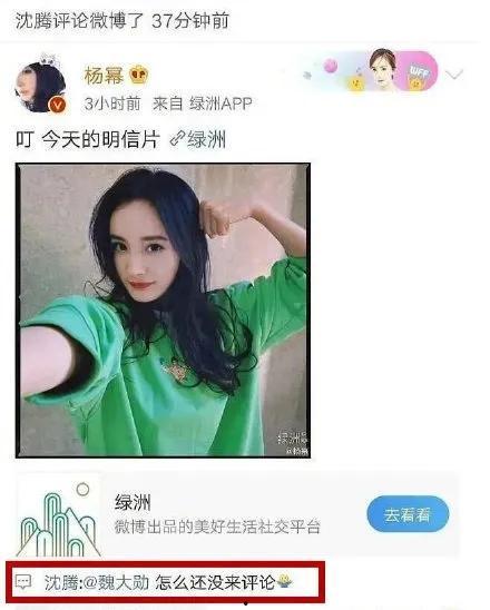 娱乐吃瓜小程序推荐,跟随吃瓜小程序,畅游八卦海洋